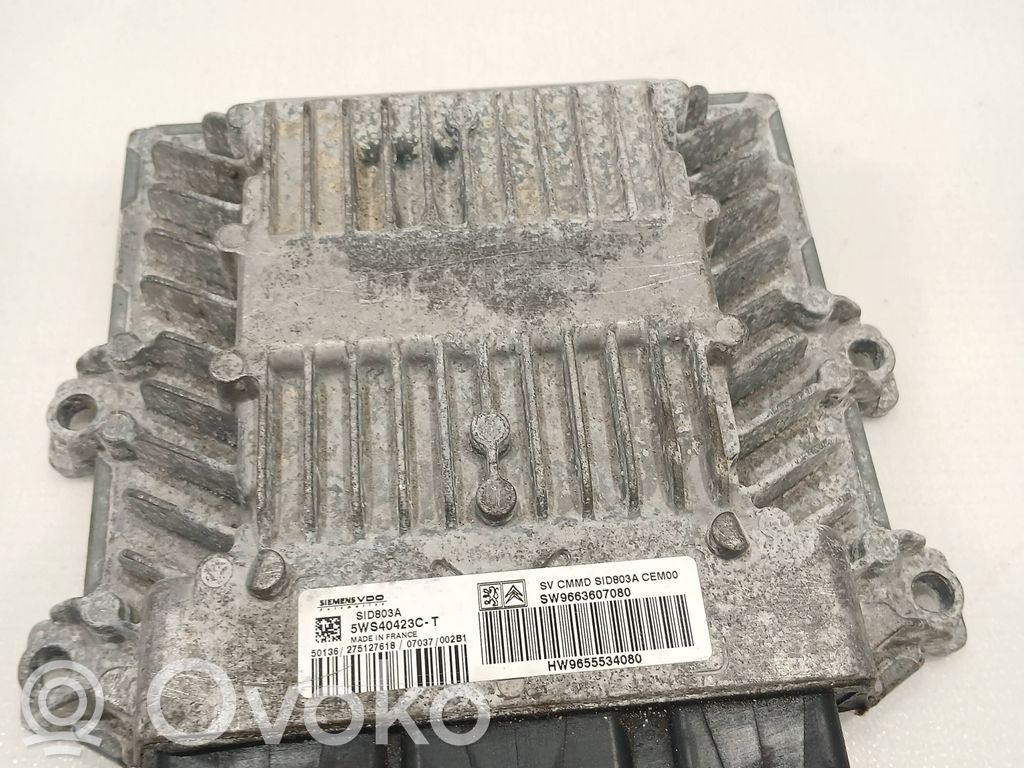 Peugeot 407 Engine control unit/module 