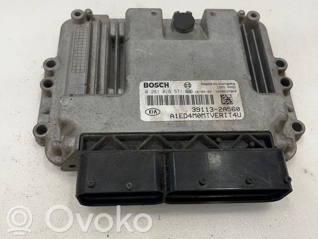 Engine control unit/module   391132A560,0281016571