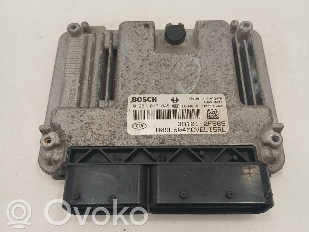 Engine control unit/module   391012F565,0281017045,1039S46865