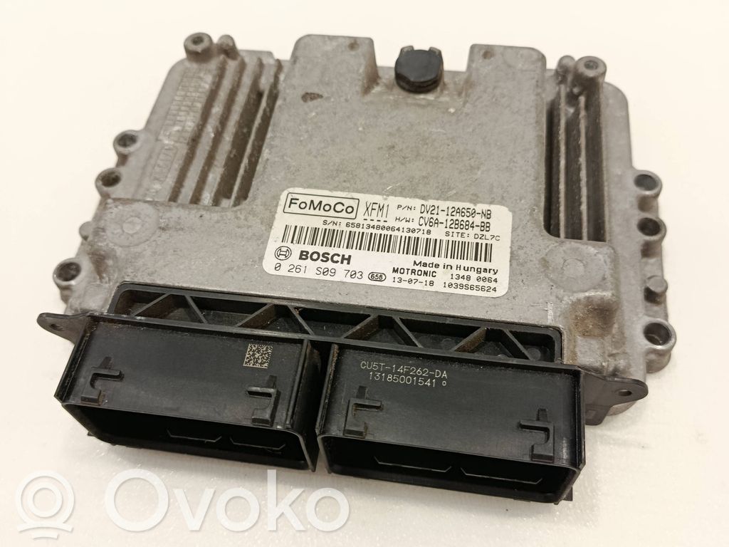 Engine control unit/module   DV2112A650NB,0261S09703,CU5T14F262DA