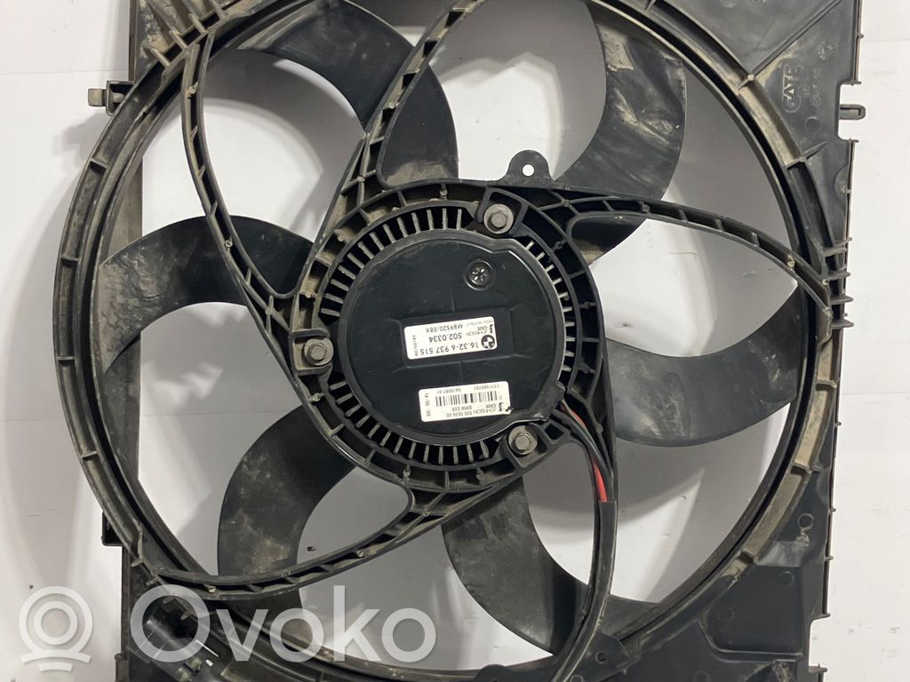 Elektrinis radiatorių ventiliatorius   7523259,1170969701,6937515,5020334