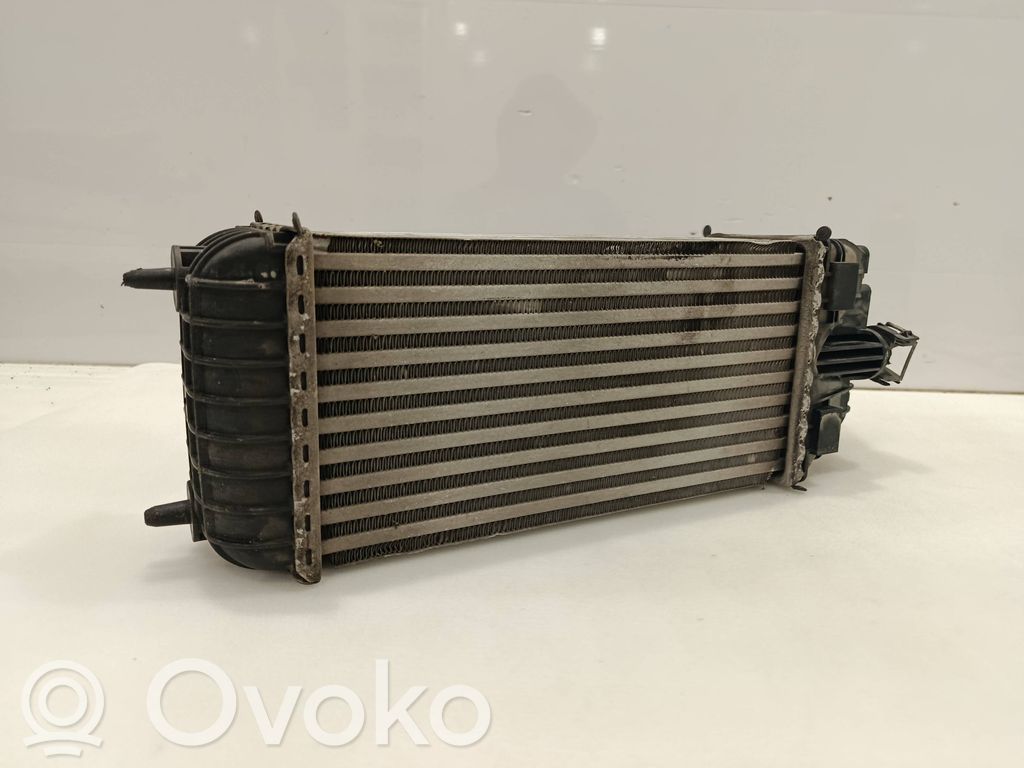 Interkūlerio radiatorius   9803900780