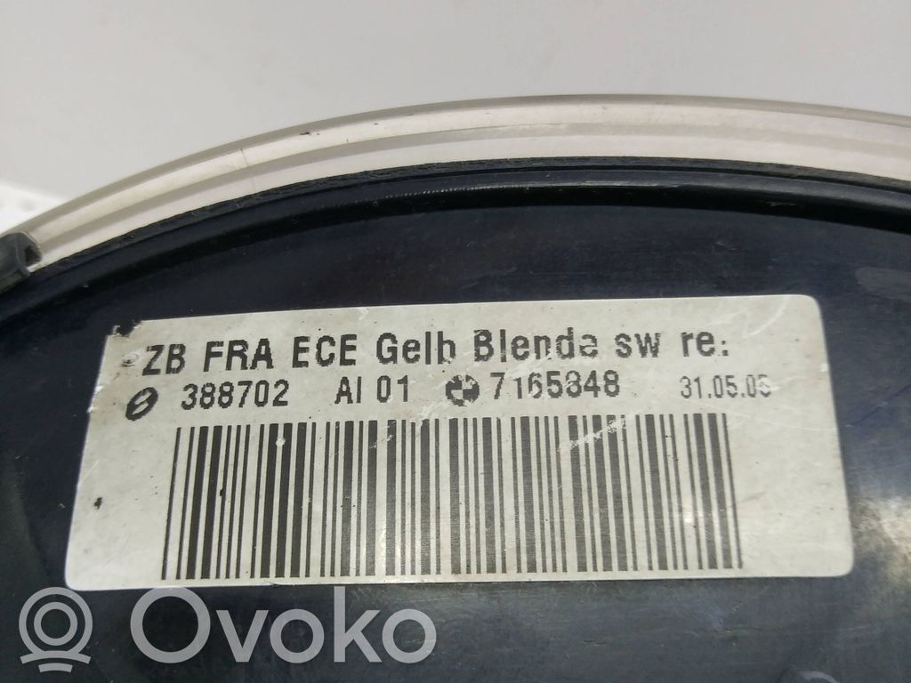 BMW 3 E46 Front indicator light 