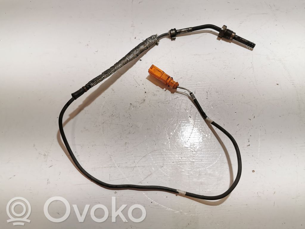Skoda Roomster (5J) Exhaust gas temperature sensor 