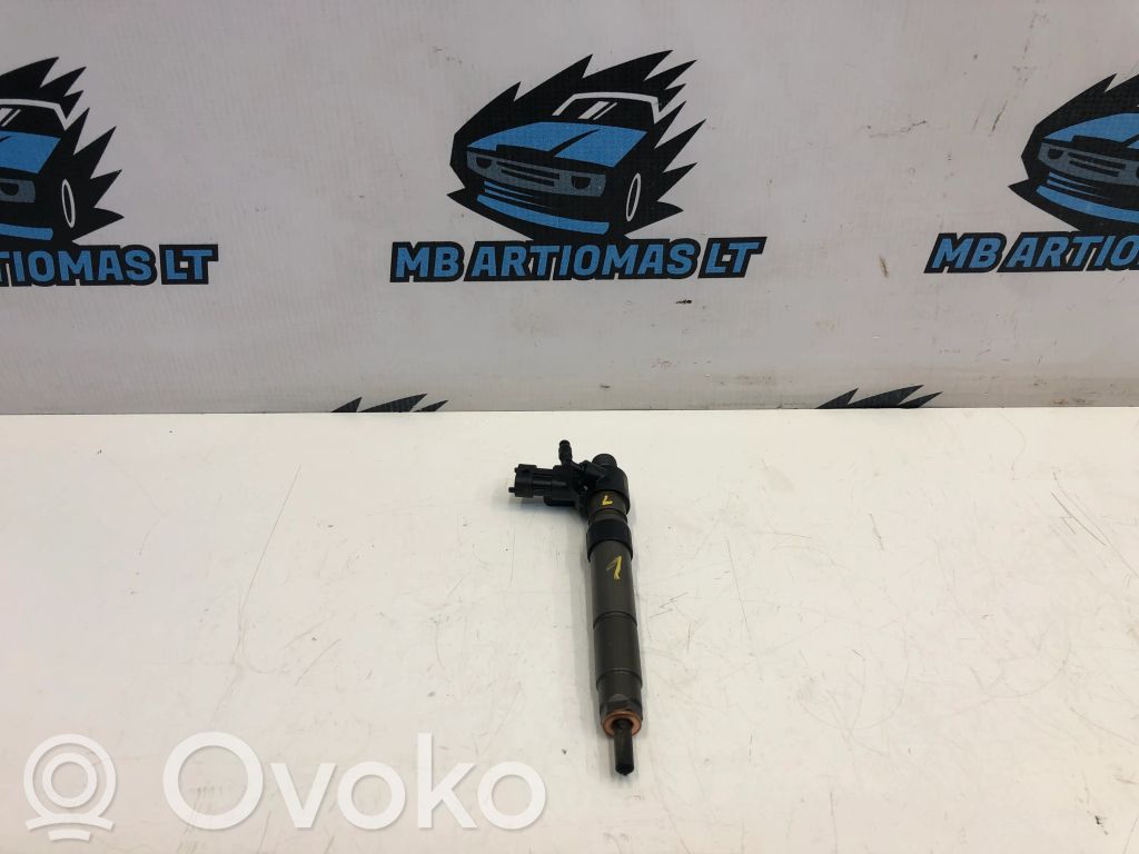 Land Rover Freelander 2 - LR2 Inyector de combustible 