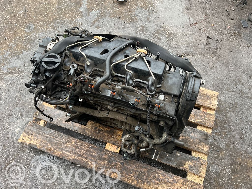 Engine   D5244T,6906006
