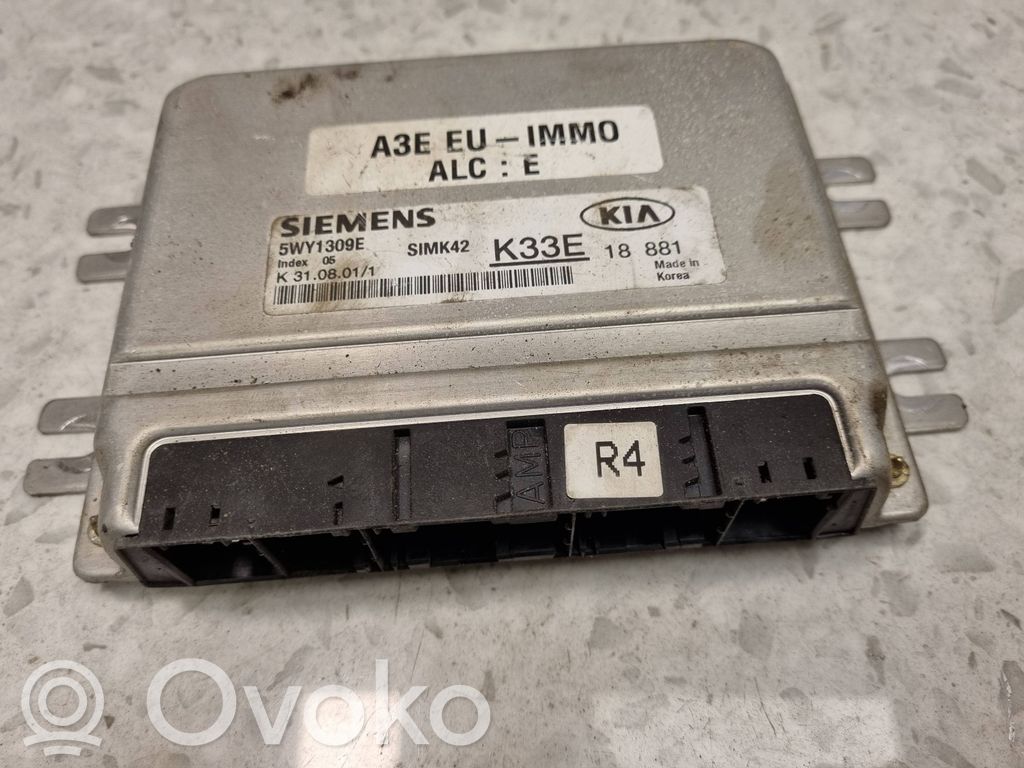 Engine control unit/module   5WY7309E,SIMK42,A3EEU1MM0,SIMK42