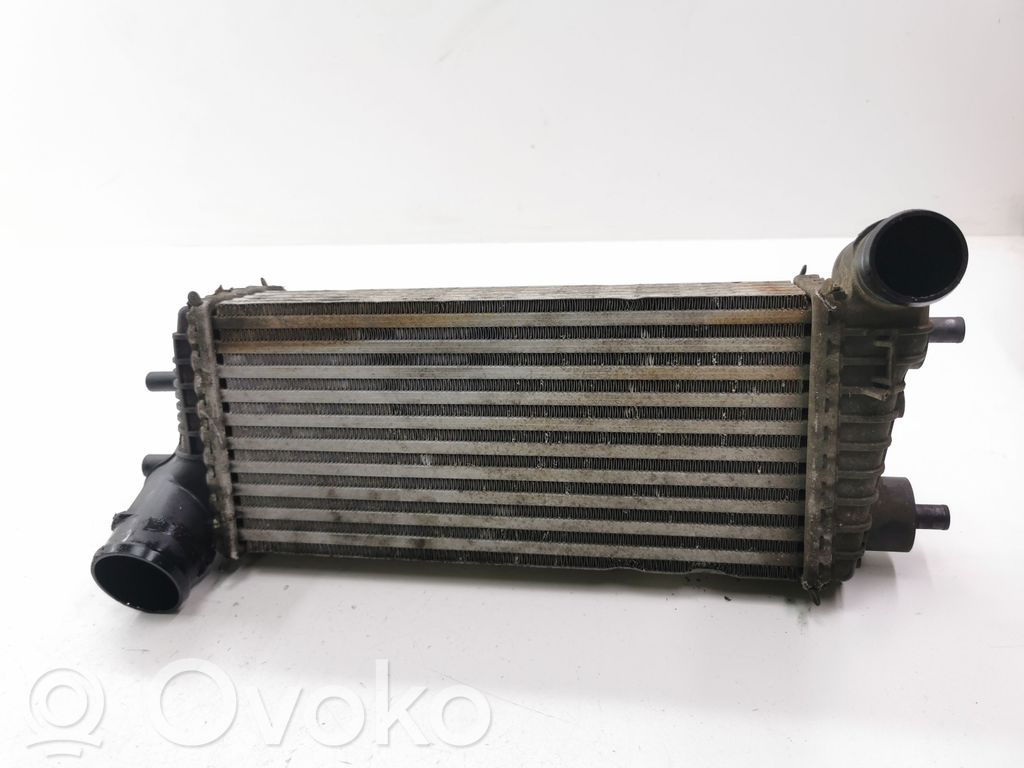 Refroidisseur intermédiaire   BV619L440CE,Y2488004