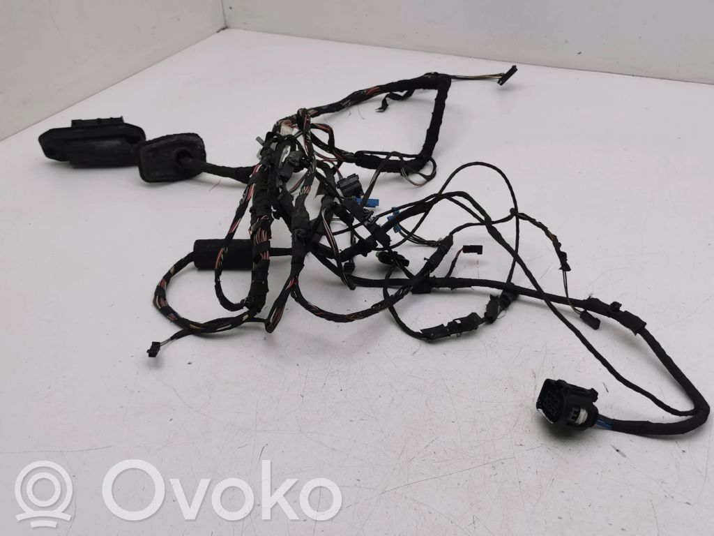BMW 7 F01 F02 F03 F04 Cablaj ușă față 