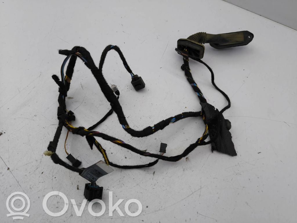 BMW X5 E53 Cableado de puerta trasera 