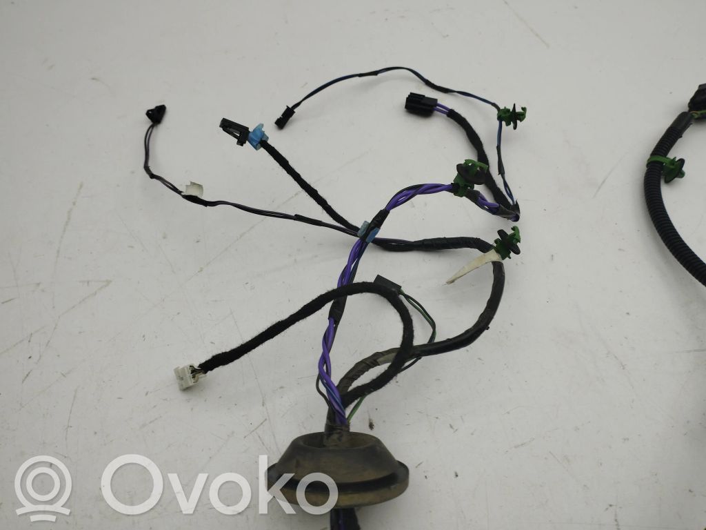Tesla Model S Cableado de puerta trasera 