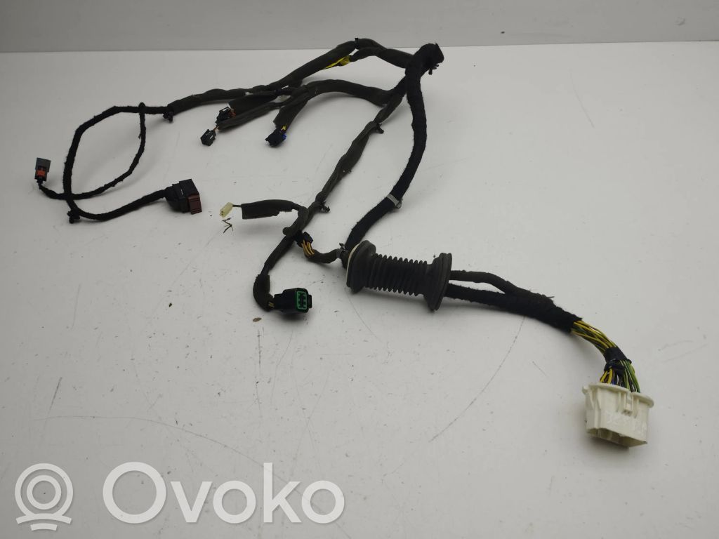 Opel Antara Cableado de puerta delantera 