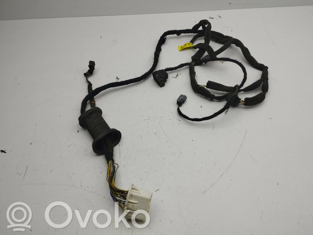 Opel Antara Cableado de puerta delantera 