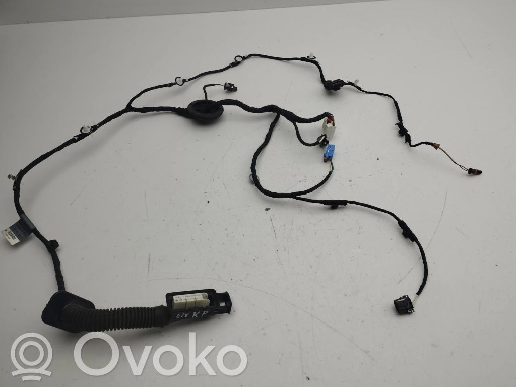 Audi A5 Cableado de puerta delantera 