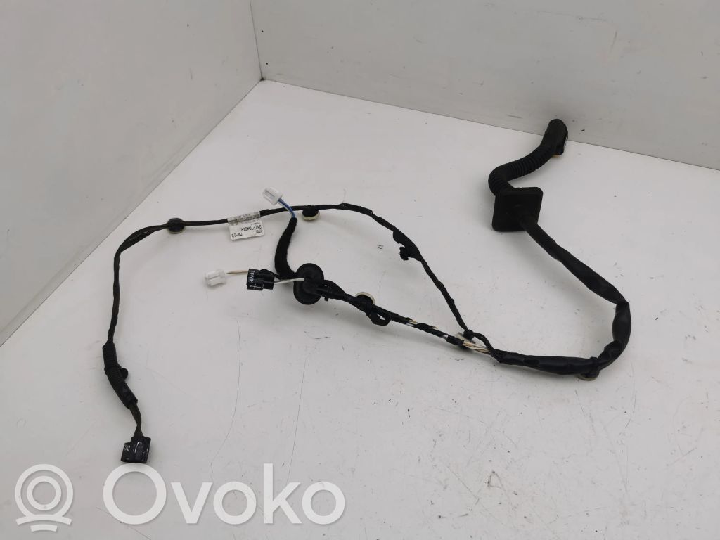 Cableado de puerta trasera   241270461R