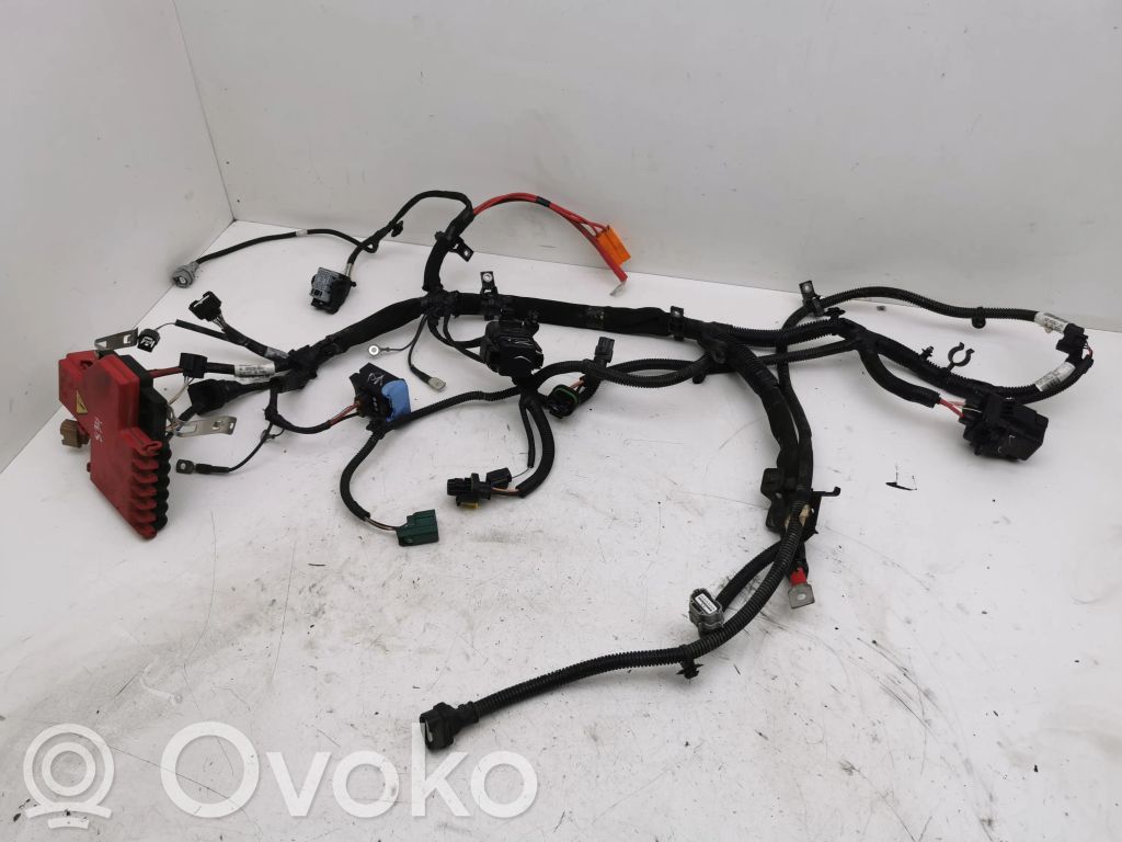 Renault Zoe Wiązka przewodów silnika 