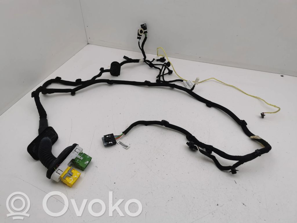 Citroen C4 III e-C4 Cableado de puerta delantera 