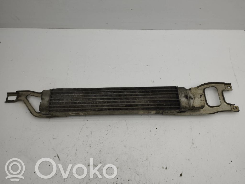 Mercedes-Benz A W169 Radiatore del carburatore (radiatore)