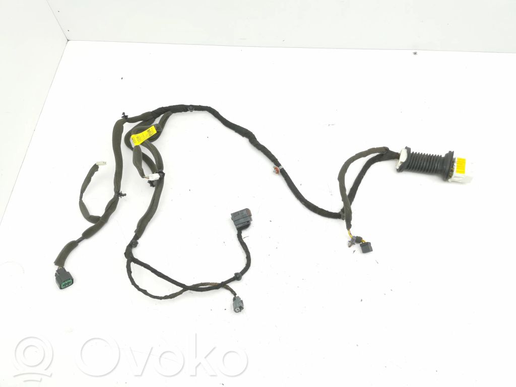 Opel Antara Cableado de puerta delantera 