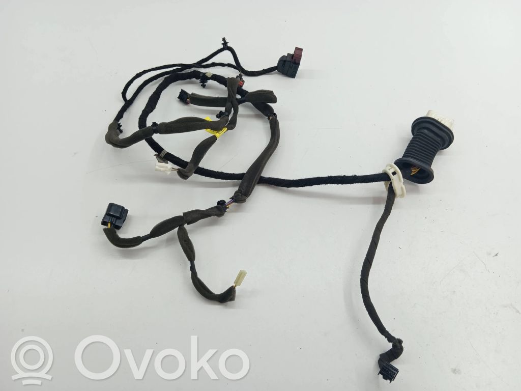 Opel Antara Cableado de puerta delantera 