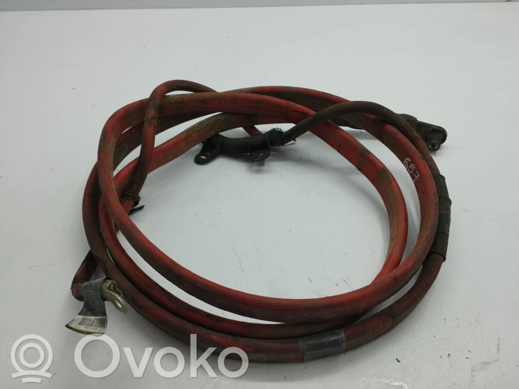 Positive cable (battery)   6927704,5137891