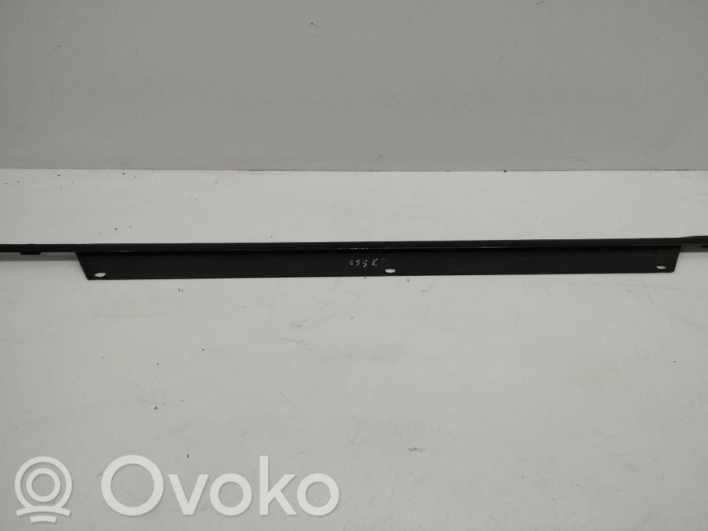 Audi Q7 4L Listwa / Uszczelka szyby drzwi przednich 