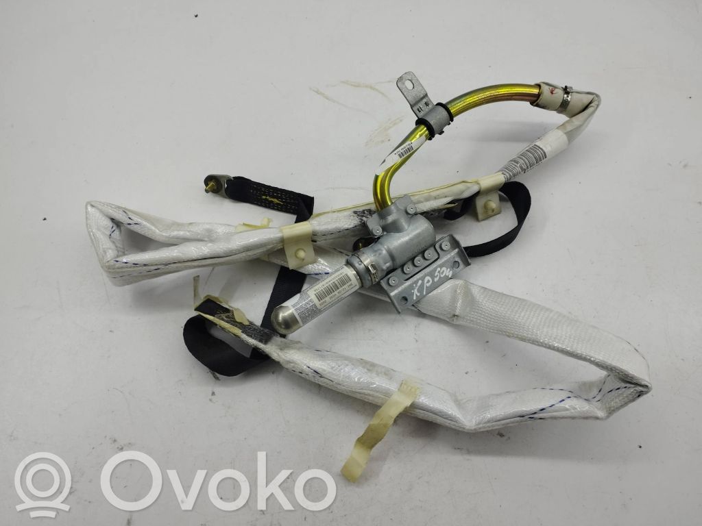 BMW X5 E53 Airbag del techo 