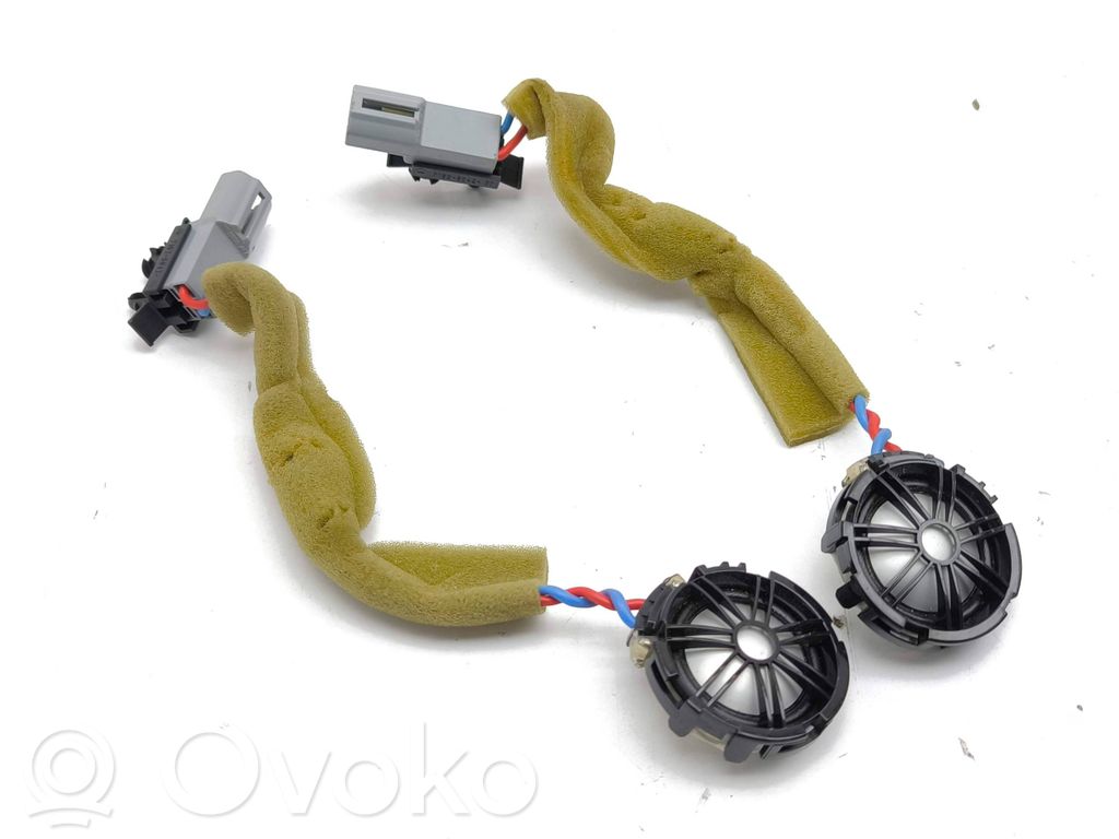 Land Rover Evoque I Głośnik wysokotonowy drzwi tylnych 