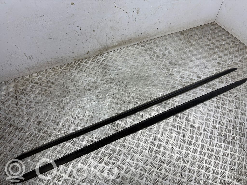 Listón   8W0853932,8W0853931