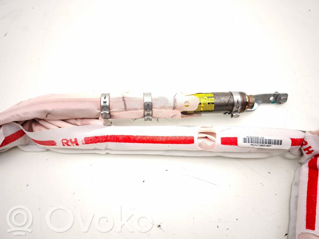 Tesla Model S Airbag del techo 