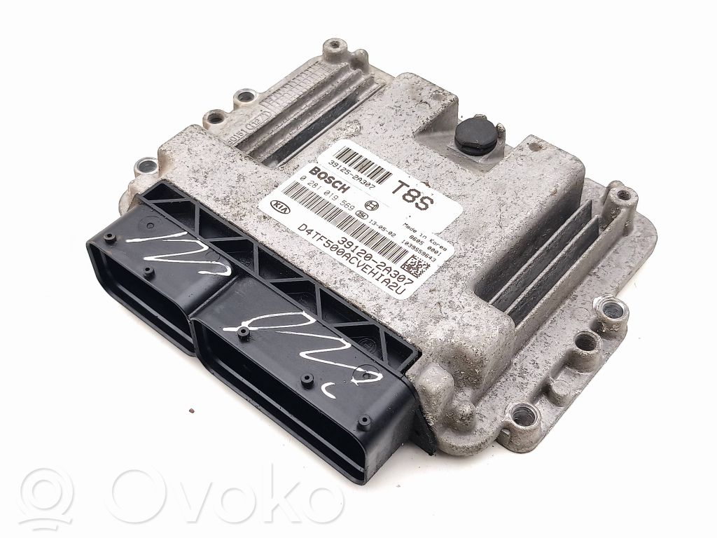 KIA Optima Engine control unit/module 