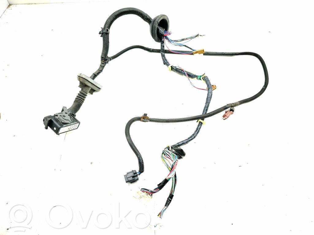 Nissan 350Z Cableado de puerta delantera 