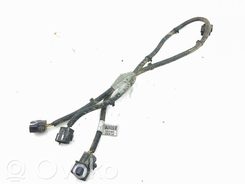 Cableado del sensor de aparcamiento (PDC)   918902B000