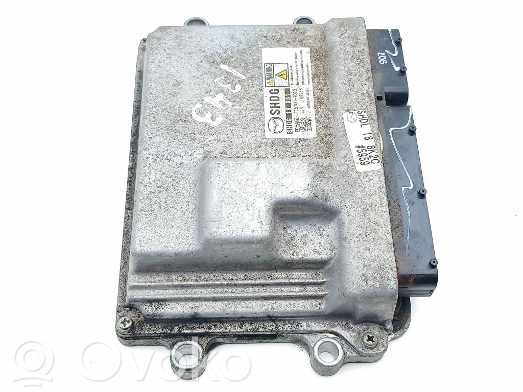 Engine control unit/module   SHDG18881,K4238,2757009070