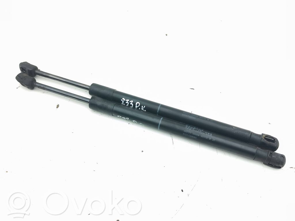 BMW X5 F15 Ammortizzatore portellone anteriore/cofano 