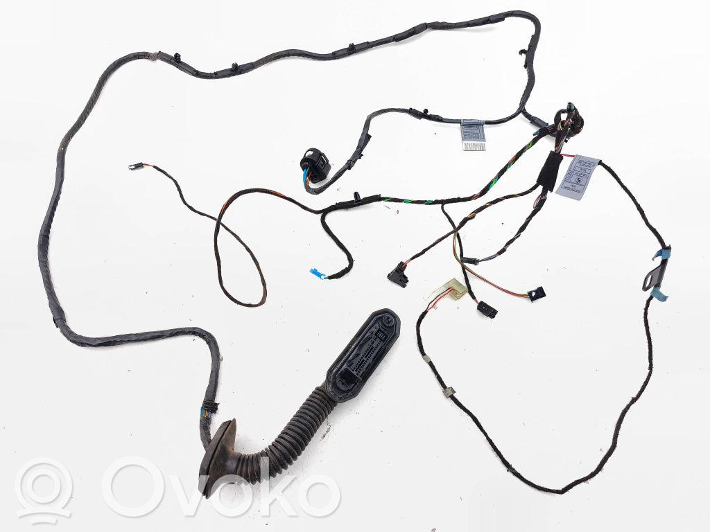 BMW X5 E70 Rear door wiring loom 