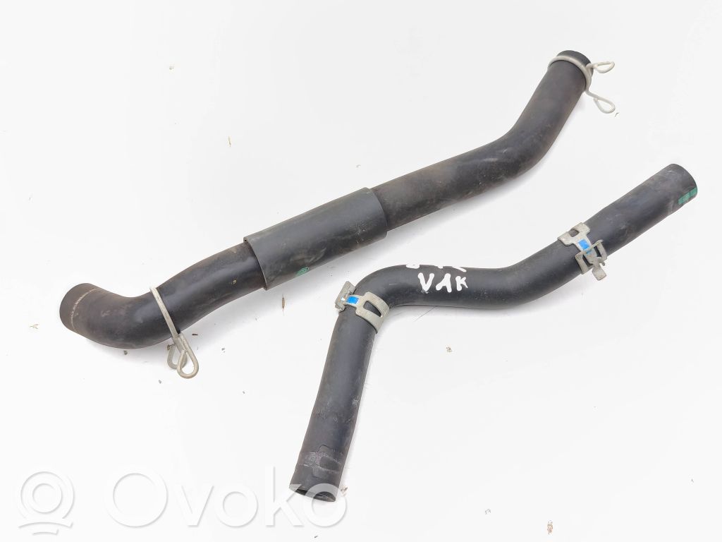 Toyota C-HR I Conductă/furtun vacuum 