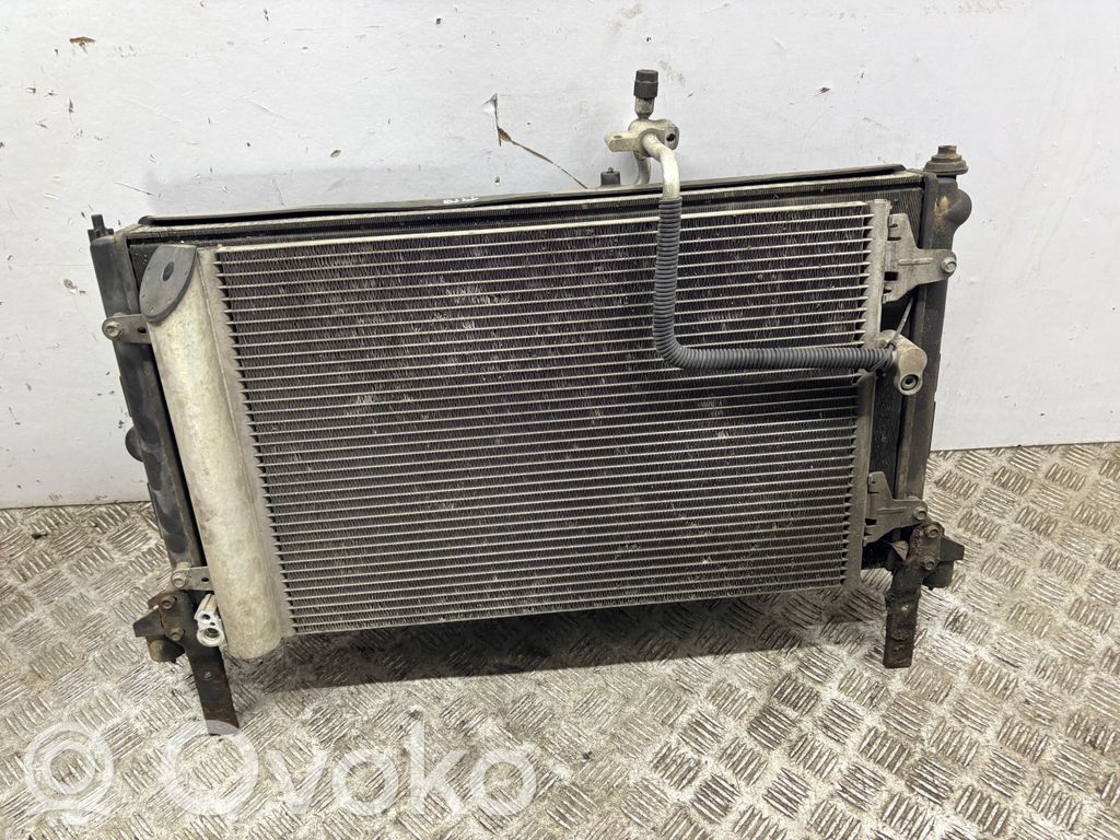 Seat Alhambra (Mk1) Set radiatoare 