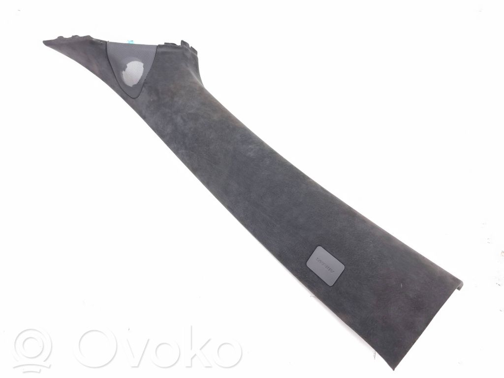Tesla Model S Rivestimento montante (A) 