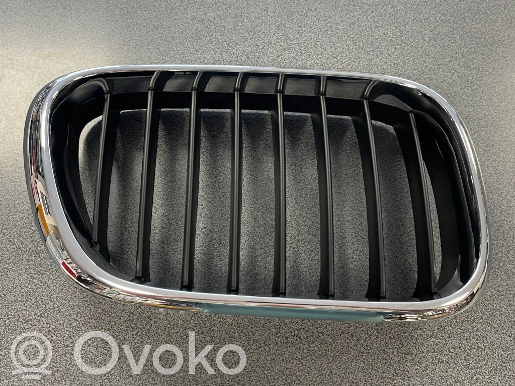 BMW X5 E53 Front bumper lower grill 