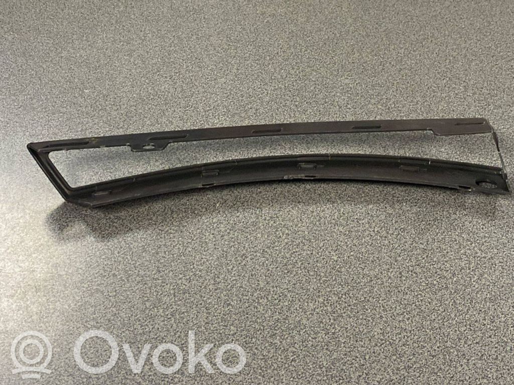 Volkswagen PASSAT B6 Frontblinker 