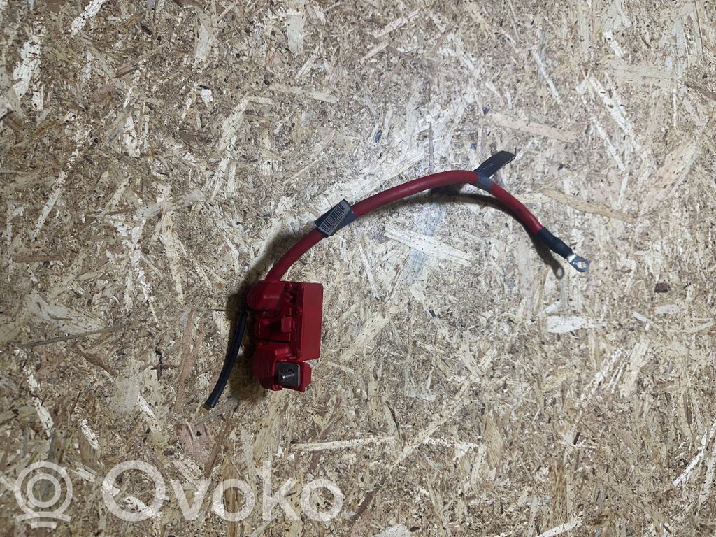 BMW 3 E90 E91 Pliusinis laidas (akumuliatoriaus) 