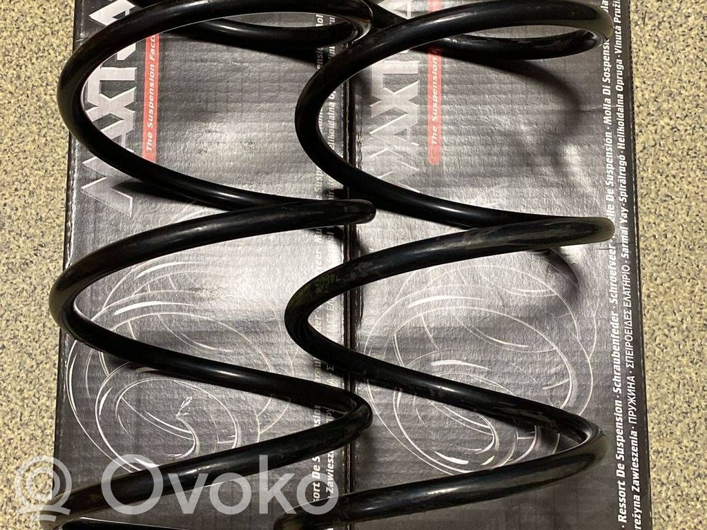 Front coil spring   30884192,30884191,MC2769