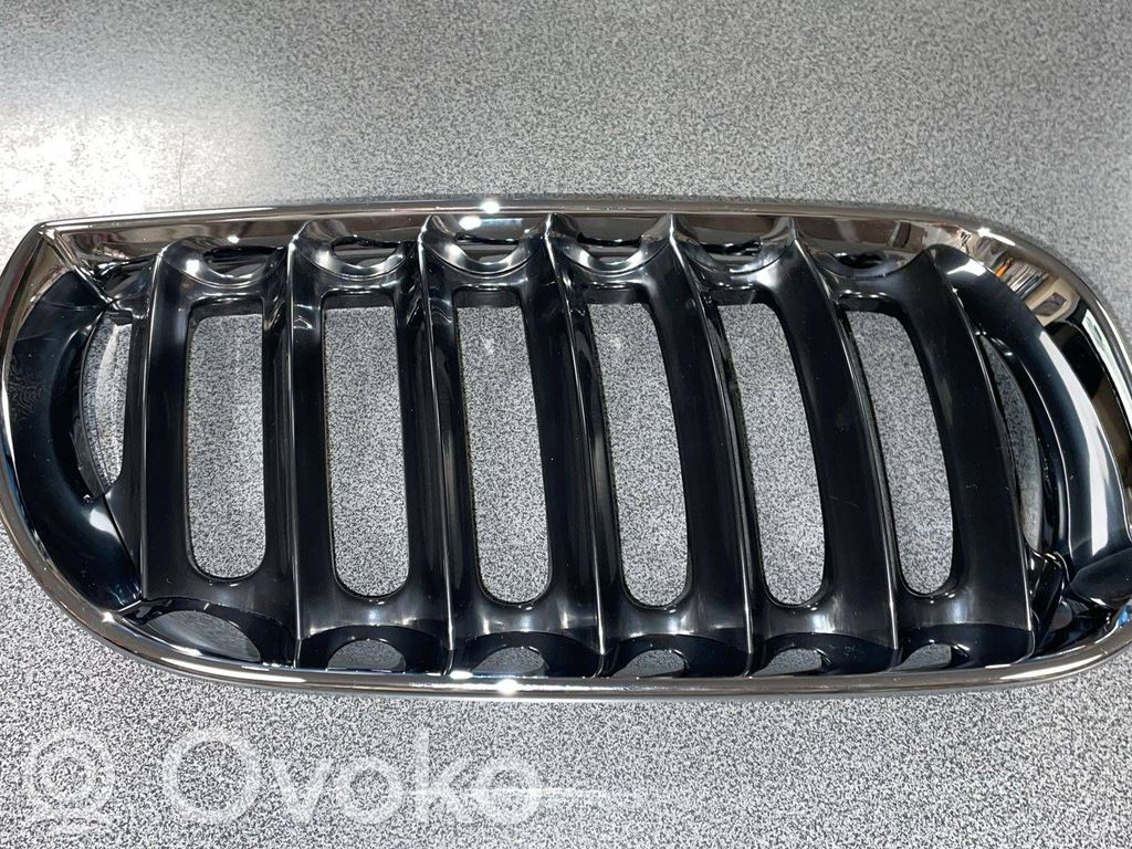 BMW X3 E83 Front grill 