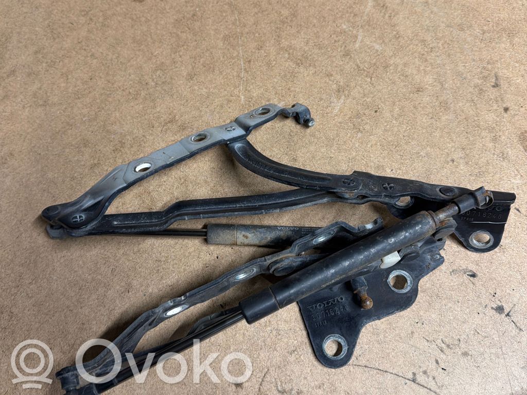 Tailgate/trunk/boot hinge   30716248