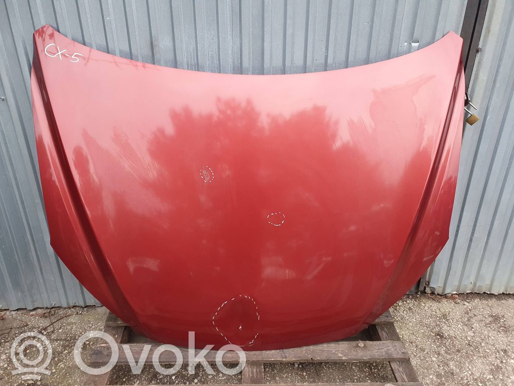 Engine bonnet/hood