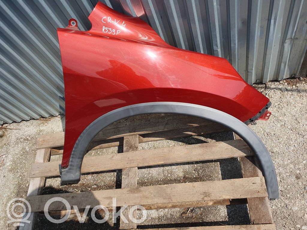 Guardabarro   R539P