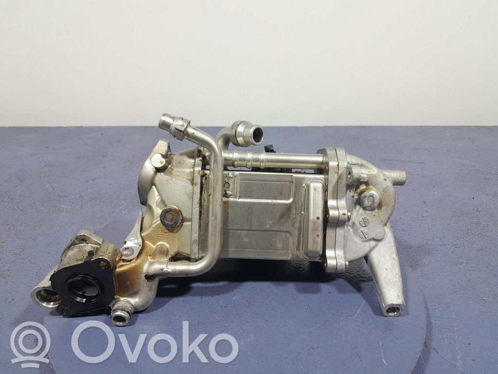 BMW X5 G05 Refrigerador de la válvula EGR 