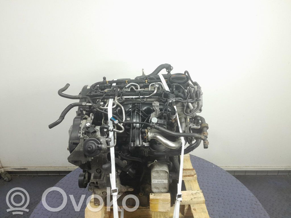 Motor   CFF,CFF