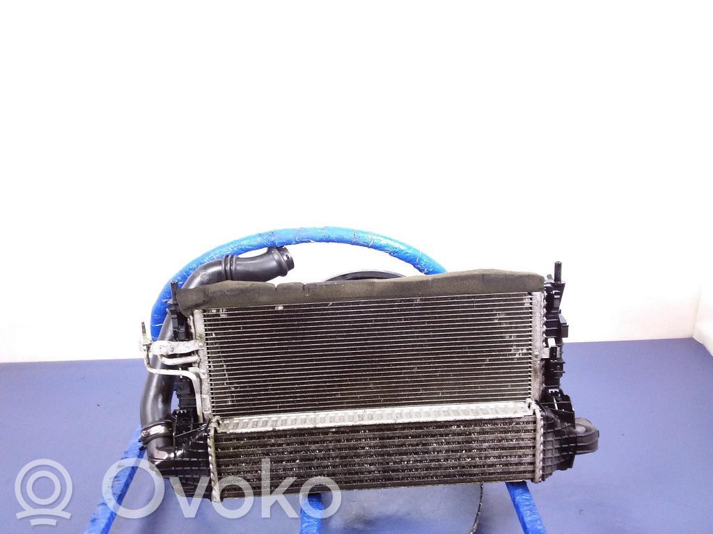 Ford C-MAX I Radiatore di raffreddamento 
